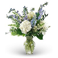 For The Service Image